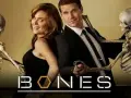 Die Hauptdarsteller der Serie "Bones – Die Knochenjägerin" posieren mit Skeletten.