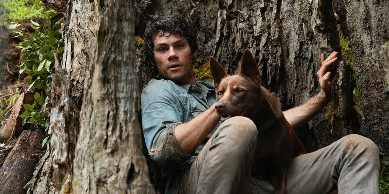 Ein Mann und sein Hund ruhen sich an einem Baum aus. Ihre Liebe ist ein Licht gegen die drohenden Monster der Welt.