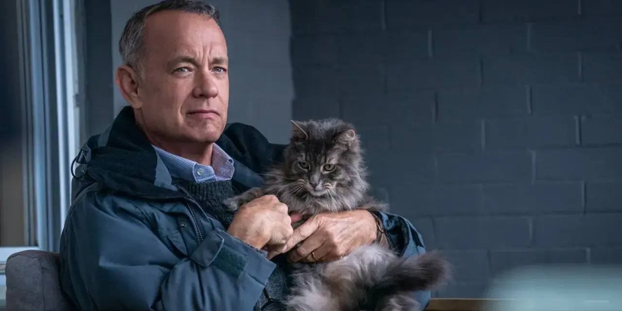 Tom Hanks hält eine flauschige Katze in seinen Armen. Ein ruhiger Moment, wie in vielen Tom Hanks Filmen.
