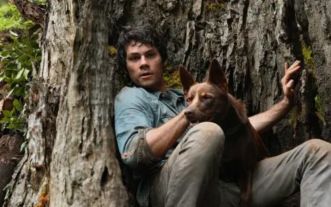 Ein Mann und sein Hund ruhen sich an einem Baum aus. Ihre Liebe ist ein Licht gegen die drohenden Monster der Welt.