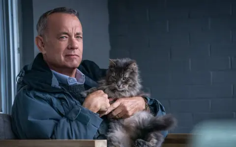Tom Hanks hält eine flauschige Katze in seinen Armen. Ein ruhiger Moment, wie in vielen Tom Hanks Filmen.