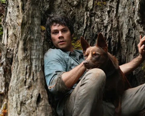 Ein Mann und sein Hund ruhen sich an einem Baum aus. Ihre Liebe ist ein Licht gegen die drohenden Monster der Welt.