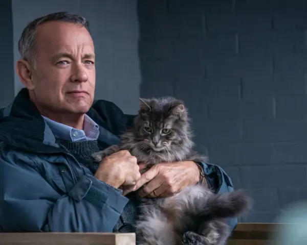 Tom Hanks hält eine flauschige Katze in seinen Armen. Ein ruhiger Moment, wie in vielen Tom Hanks Filmen.