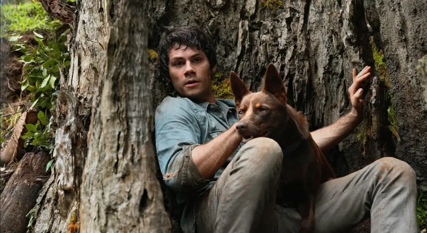 Ein Mann und sein Hund ruhen sich an einem Baum aus. Ihre Liebe ist ein Licht gegen die drohenden Monster der Welt.