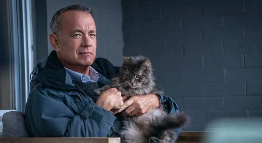 Tom Hanks hält eine flauschige Katze in seinen Armen. Ein ruhiger Moment, wie in vielen Tom Hanks Filmen.